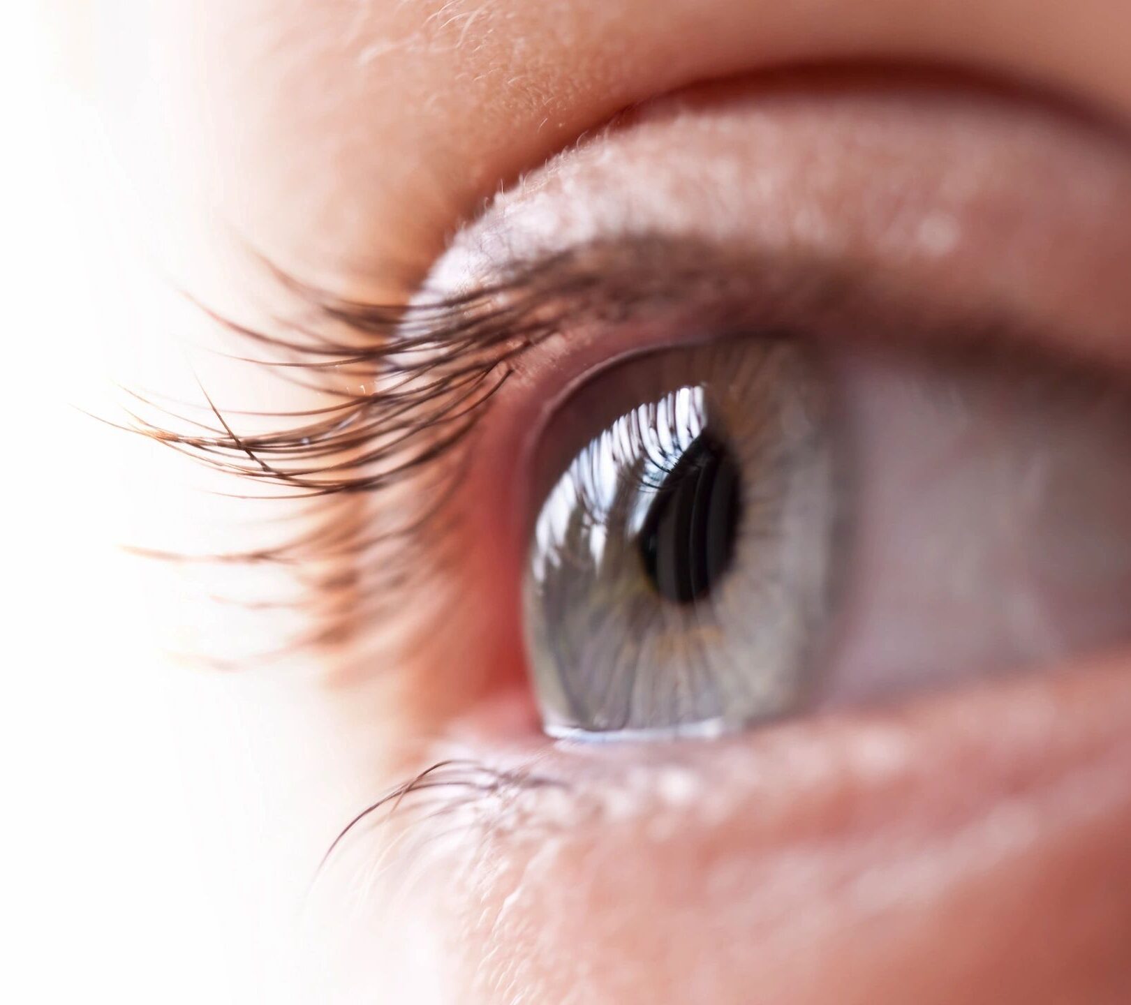 clinic/eye image